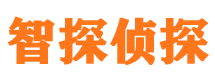 宁津侦探公司